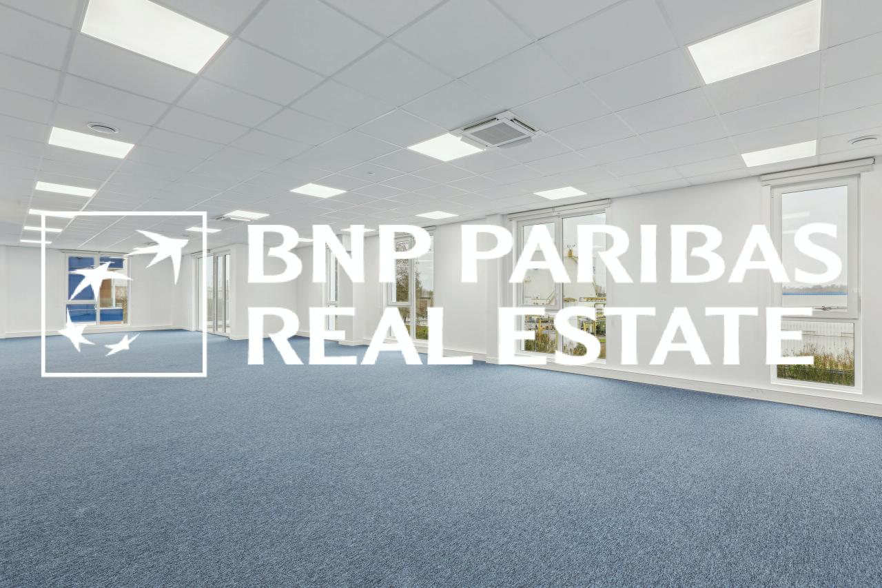 Local d'activité Moissy-Cramayel 2954m² Location local d'activité Moissy-Cramayel Seine-et-Marne OLACT2201101 12